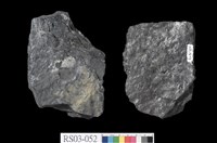 藏品(頁岩)的圖片